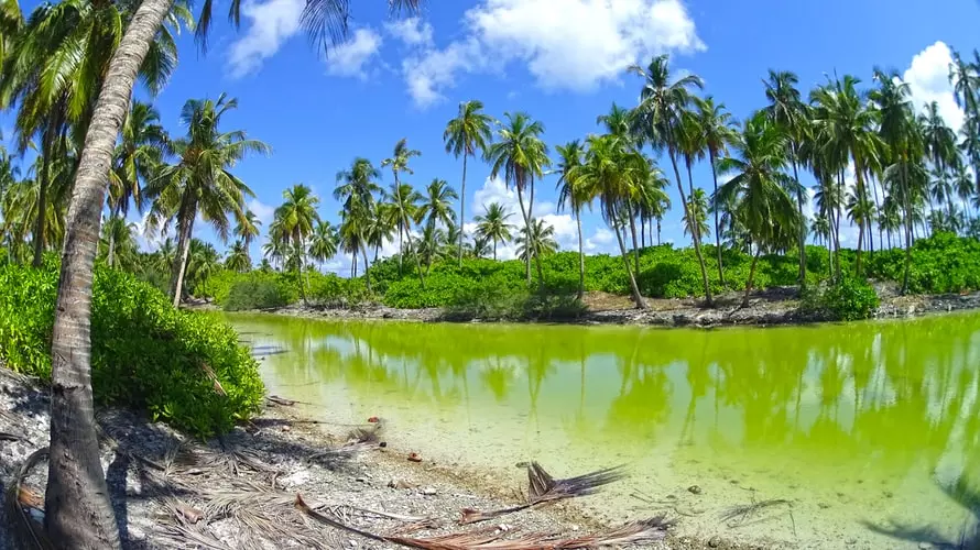 ukulhas maldives: सबसे स्वच्छ द्वीप