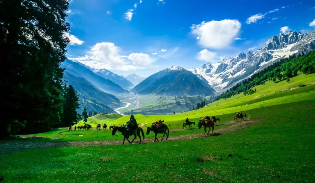 Famous things in Jammu and Kashmir in Hindi