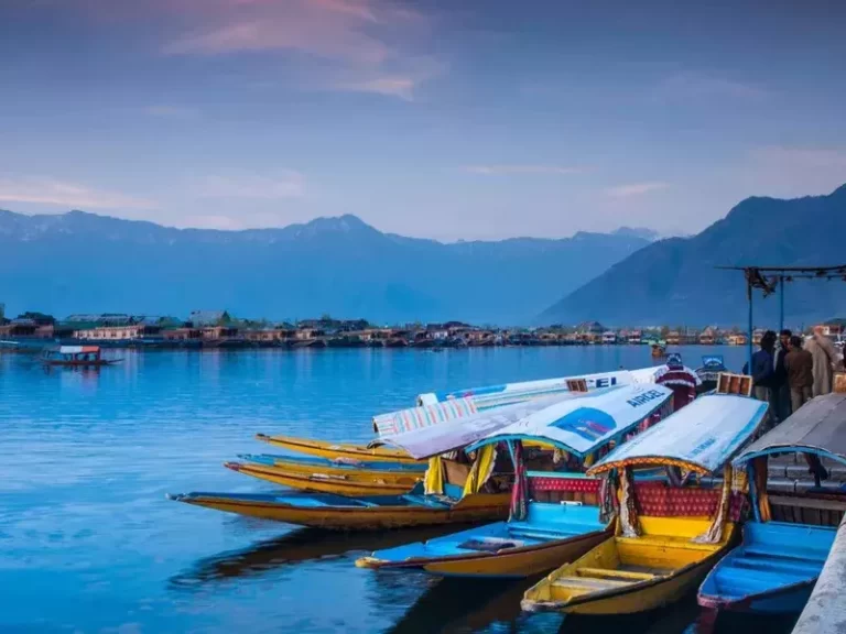 Best Places to visit in srinagar in hindi