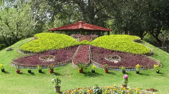 Chandigarh Ke Paryatan Sthal Butterfly park - चंडीगढ़ में घूमने की जगह