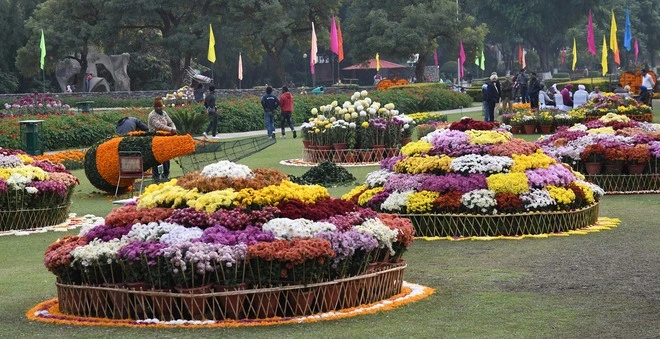 Terraced Garden chandigarh ghumne ki jagah- चंडीगढ़ में घूमने की जगह