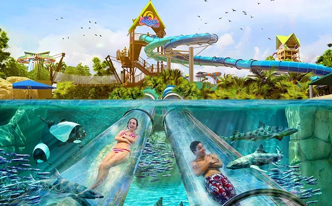 शानदार मनोरंजन पार्क एक्वाटिका - best amusement park in india Aquatica in Hindi