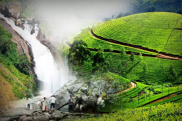 Best Tourist Places in Munnar in Hindi