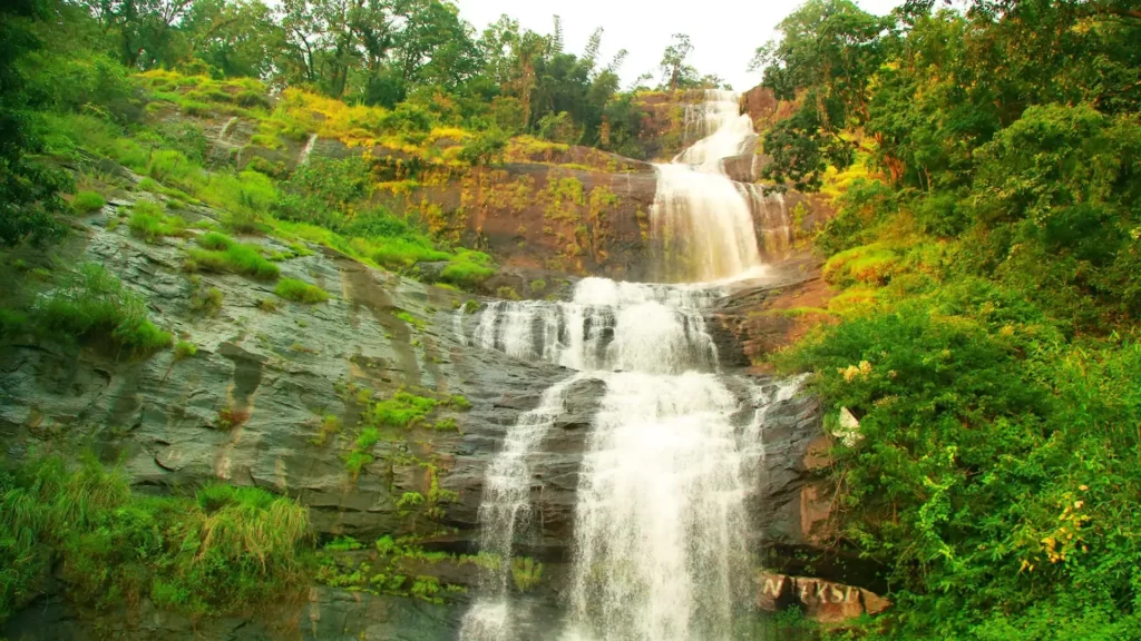 केरल के दर्शनीय स्थल चेयप्पारा झरने - Places to visit in kerala Cheeyappara Waterfalls in Hindi