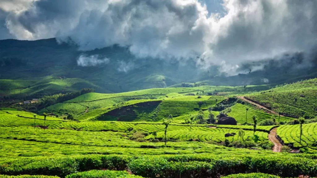 कपल्स के लिए रोड ट्रिप चेन्नई से मुन्नार-Chennai To Munnar Road trips in hindi