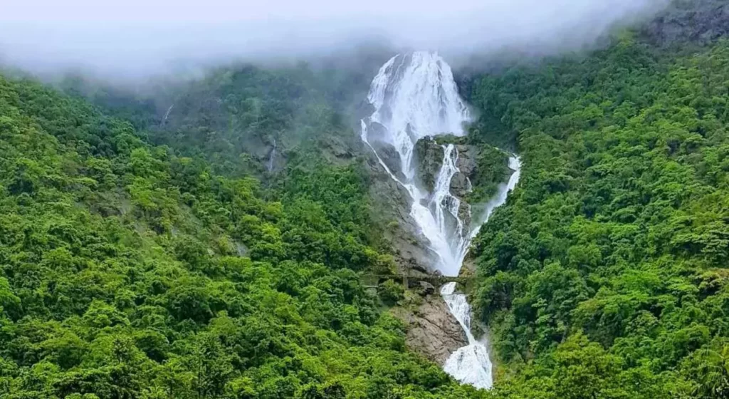 भारत के खुबसूरत झरने दूधसागर झरना गोवा – Dudhsagar Waterfall Famous Waterfalls In India In Hindi
