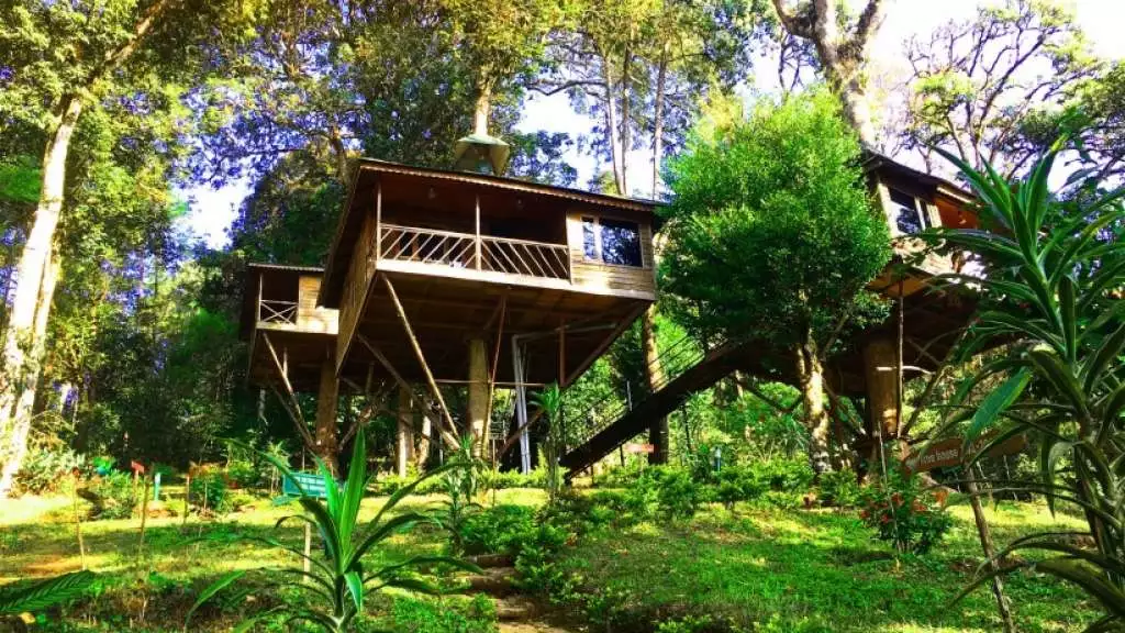 भारत के रोमांटिक ट्री हाउस नेचर ज़ोन रिज़ॉर्ट - Nature Zone Resort 