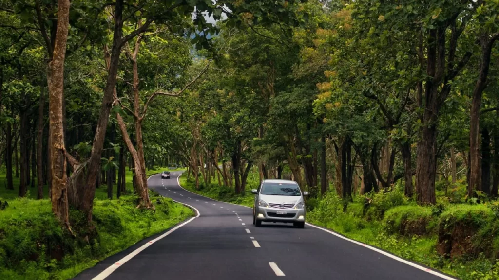 बैंगलोर से ऊटी होते हुए मैसूर-Bangalore To Ooty Via Mysore