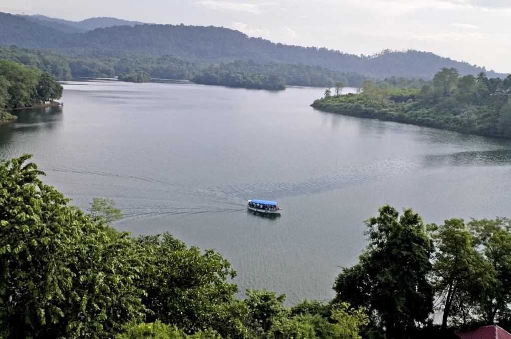 कोच्चि के टॉप पर्यटन स्थल पीची बांध - Top Tourist Places in Kochi Peechi Dam in Hindi