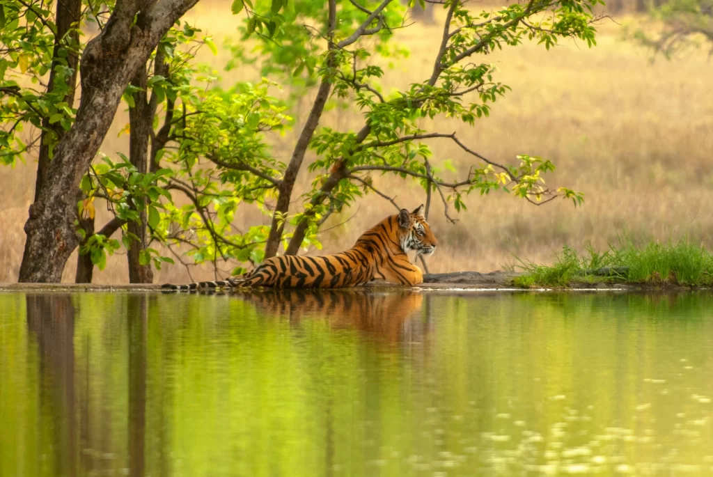 rajasthan me ghumne ki jagah