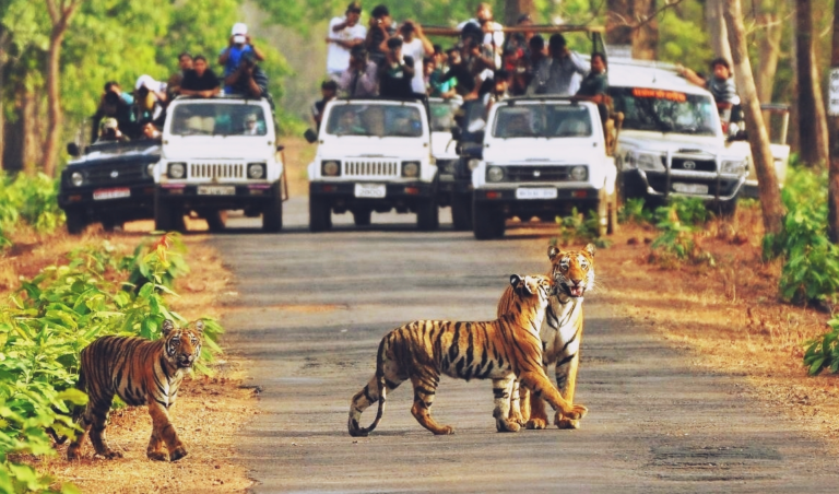 Rajaji National Park In Uttarakhand in Hindi