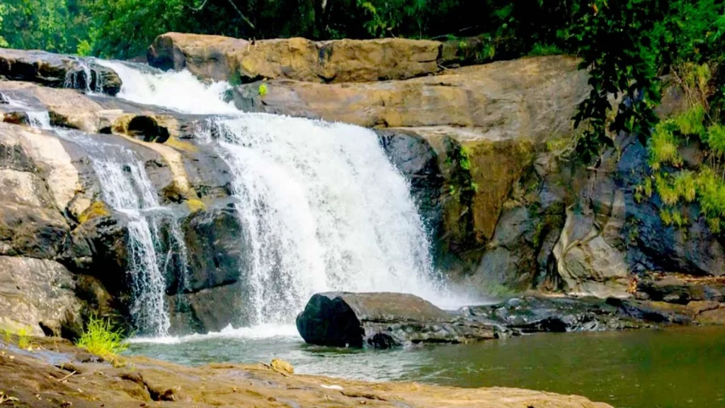 केरल में घूमने की जगह थोम्मनकुथु जलप्रपात - Places to visit in kochi Thommankuthu Falls in Hindi