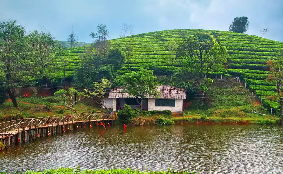 केरल में देखने लायक जगह वागामोन -Kerala Mein Dekhne Layak Jagah Vagamon  in Hindi