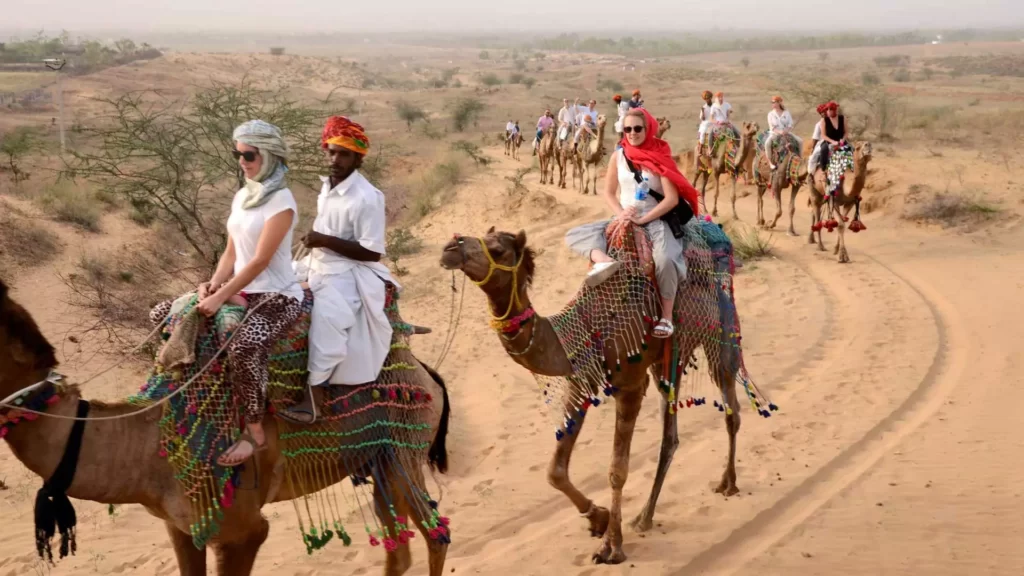 भारत के एडवेंचरस डेस्टिनेशन  ऊंट सफारी - Camel Safari