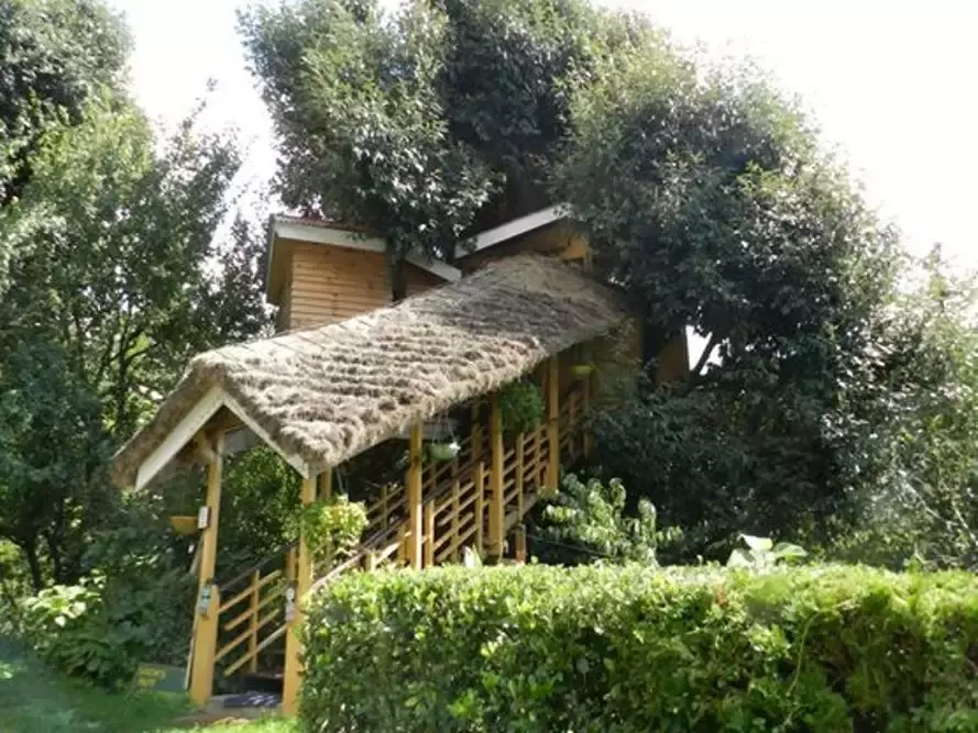  ट्री हाउस कॉटेज-Tree House Cottages 