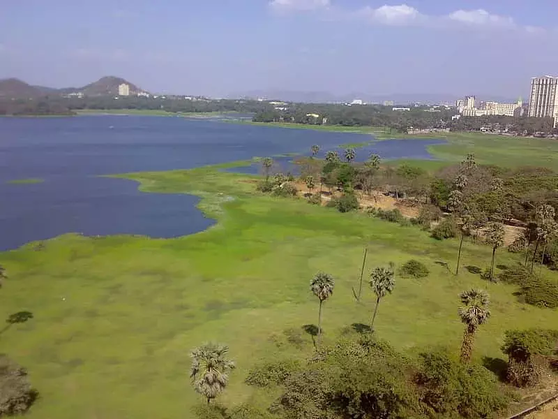 इंदौर में घूमने की जगह सिरपुर झील - Indore Mein Dekhne Layak Jagah Sirpur Lake in hindi