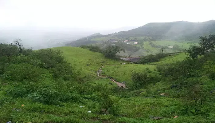 जबलपुर पिकनिक स्पॉट तामिया - Jabalpur Picnic Spot Tamiya in Hindi