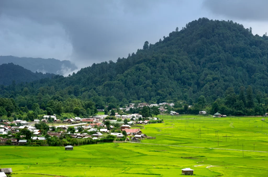  जीरो, अरुणाचल प्रदेश-Ziro, Arunachal Pradesh  - भारत के सबसे खूबसूरत गांव