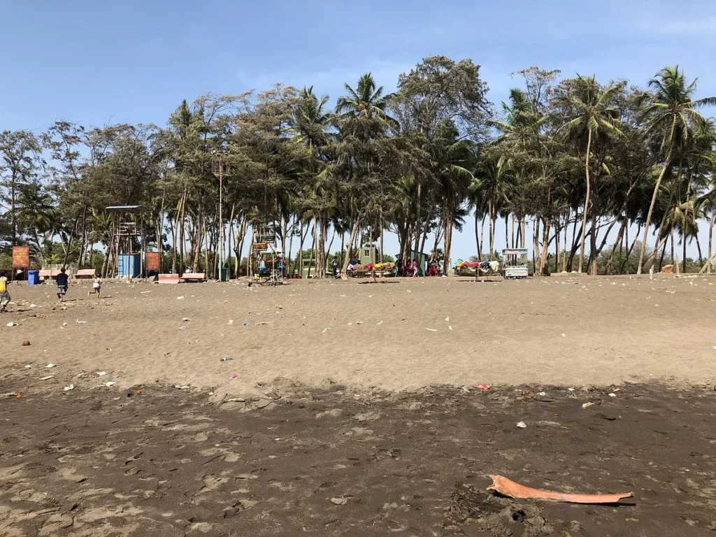 अर्नाला बीच- Arnala Beach ठाणे के पास सर्वश्रेष्ठ समुद्र तट