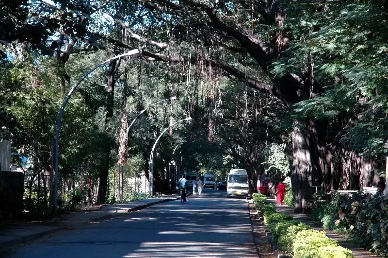 कोरेगांव पार्क रोड-Koregaon Park Road पुणे में करने के लिए रोमांचक चीजें