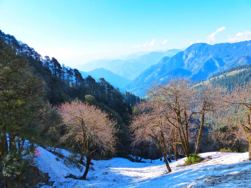 हिमाचल प्रदेश के गुप्त स्थान | Shoja Himachal tourism in Hindi