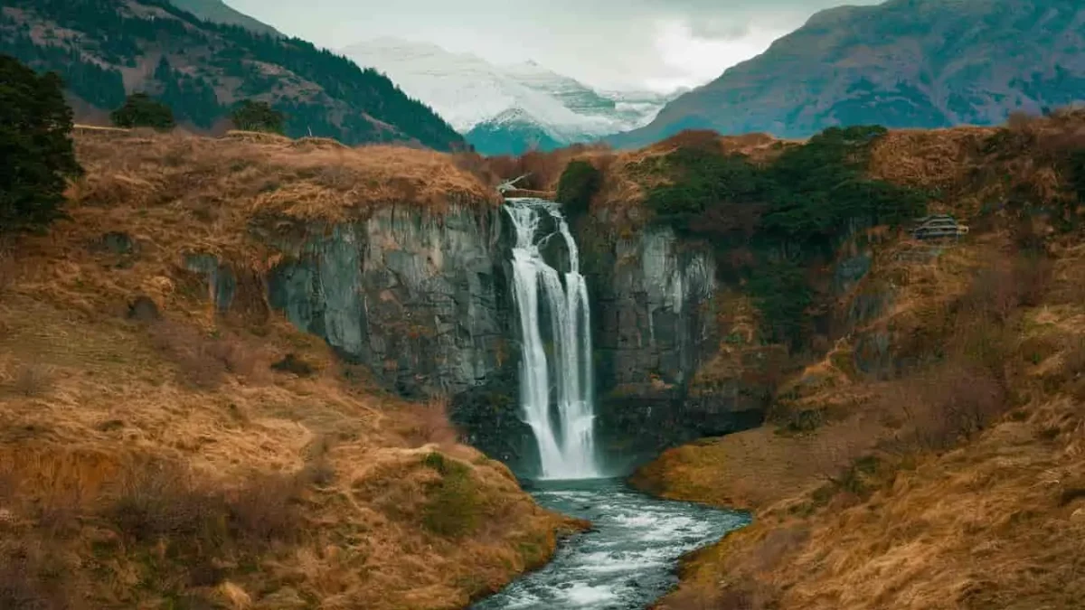 मुक्तेश्वर धाम