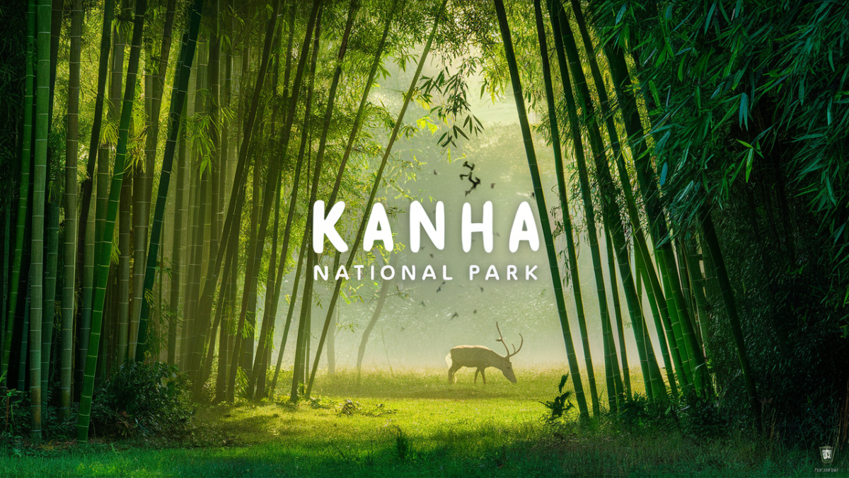 Top 10] कान्हा राष्ट्रीय उद्यान की खास बातें | Kanha National Park in Hindi