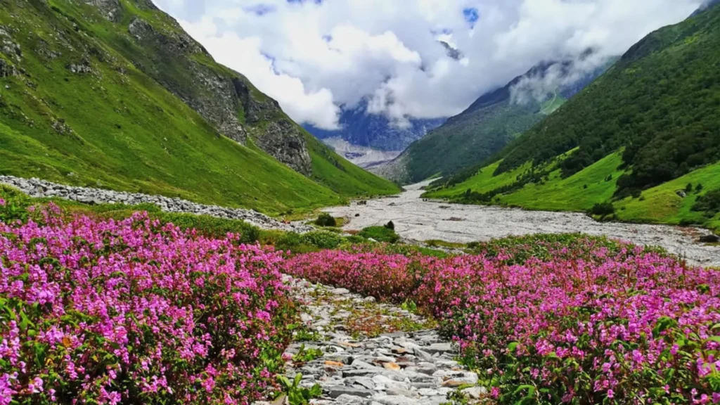 उत्तराखंड में पर्यटन स्थल Valley of Flowers