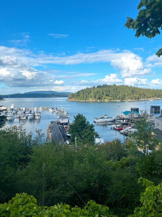 San Juan Islands: Washington’s Scenic Island Paradise