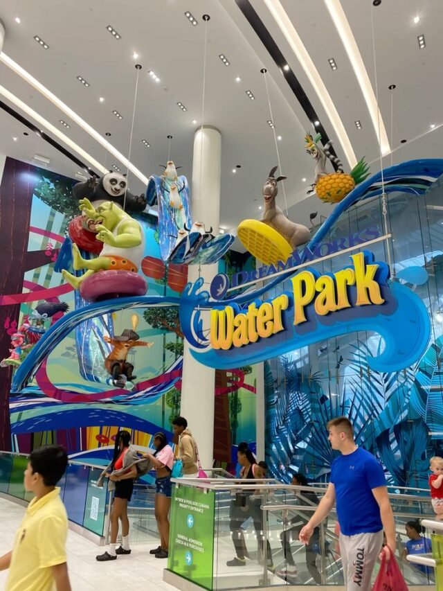 Explore DreamWorks Water Park – The Ultimate Indoor Water Escape!