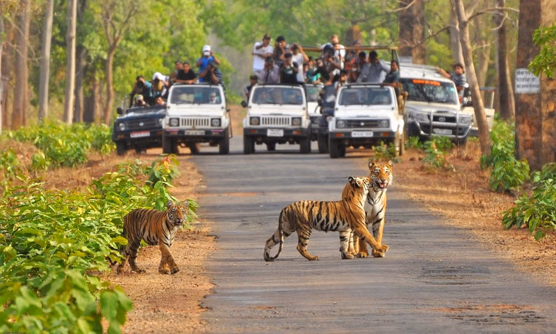 मनाली के रोमांटिक हनीमून डेस्टिनेशन्स | Best Places in Manali for Honeymoon in Hindi