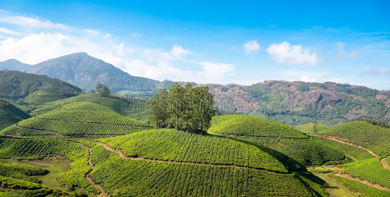 Top 10 सर्दियों में घूमने की जगह | Places to visit in winter vacation