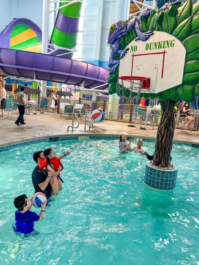 Soaring Eagle Waterpark: The Ultimate Indoor Splash Adventure!