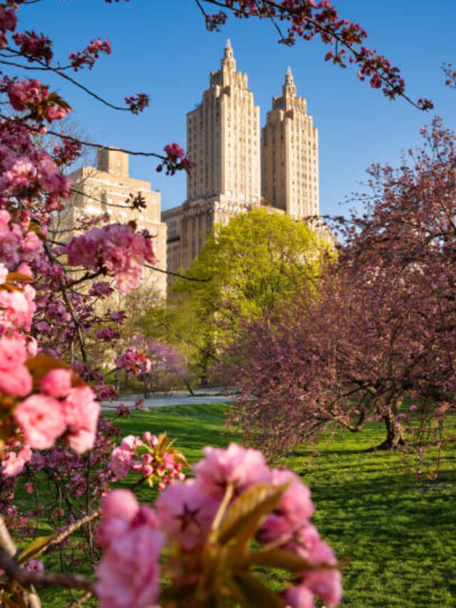 Best Places to Visit in April in the USA