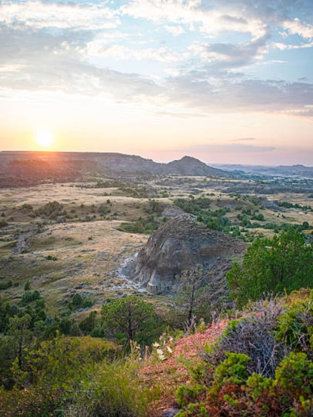 Teddy Roosevelt National Park: A Wild Badlands Adventure